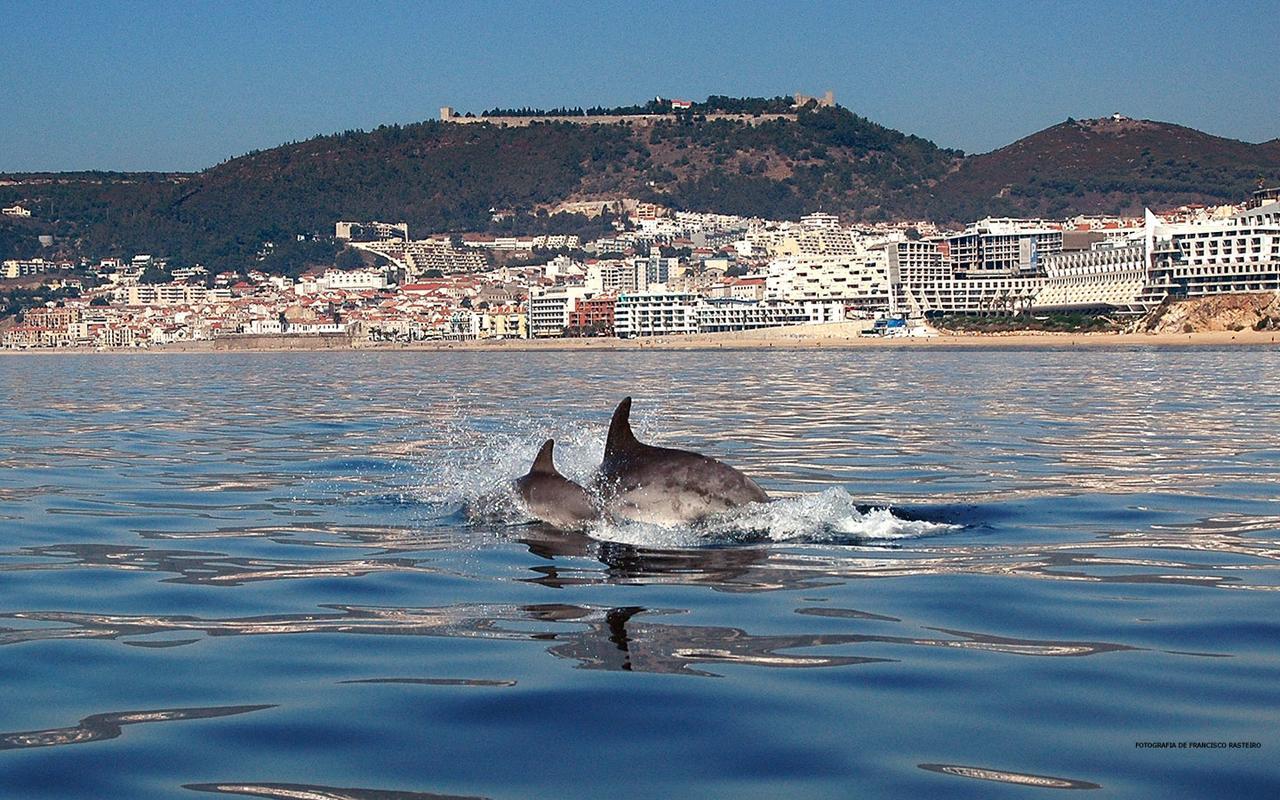 Vila De Sol Bed & Breakfast Sesimbra Exterior photo